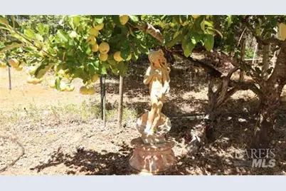 11444 Bottle Rock Road, Kelseyville, CA 95451 - Photo 15