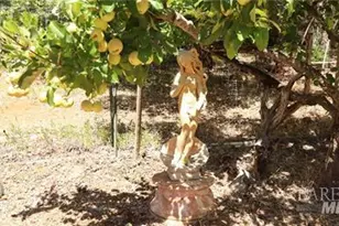 11444 Bottle Rock Rd, Kelseyville, CA 95451 - Photo 15