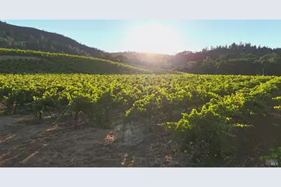 8207 W Dry Creek Road, Healdsburg, CA 95448 - Photo 13