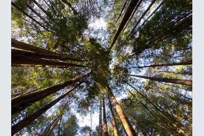 36419 E Ridge Road, The Sea Ranch, CA 95497 - Photo 45