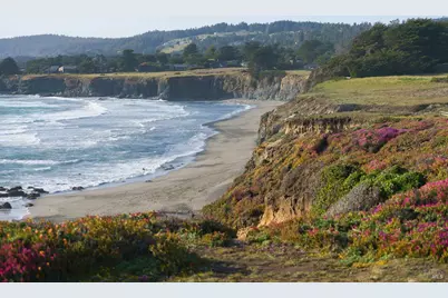 36419 E Ridge Road, The Sea Ranch, CA 95497 - Photo 55