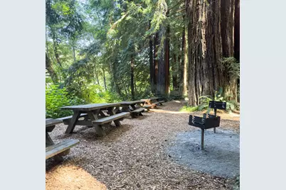 36419 E Ridge Road, The Sea Ranch, CA 95497 - Photo 49