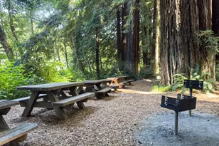 36419 E Ridge Rd, The Sea Ranch, CA 95497 - Photo 49