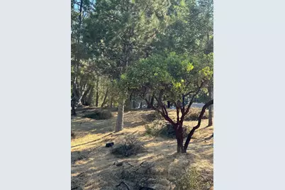 1596 Daphne Drive, Willits, CA 95490 - Photo 5