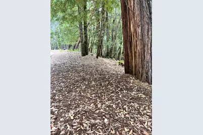 23649 Ridge Road, Willits, CA 95490 - Photo 5