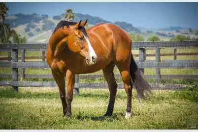 6614 Lakeville Highway, Petaluma, CA 94954 - Photo 65