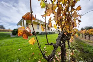 6614 Lakeville Hwy, Petaluma, CA 94954 - Photo 29