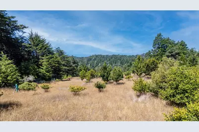 42795 Curley Lane, Point Arena, CA 95468 - Photo 35