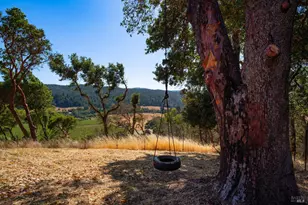 13635 Denmark Crk Rd, Boonville, CA 95415 - Photo 53