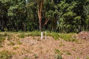 78611 Mina Rd, Covelo, CA 95428 - Photo 15