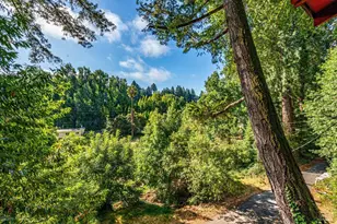 15704 Old River Rd, Guerneville, CA 95446 - Photo 49