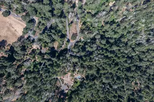 7007 Dry Creek Rd, Napa, CA 94558 - Photo 13