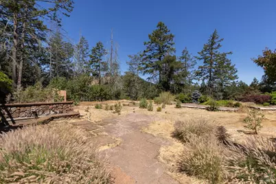 7007 Dry Creek Road, Napa, CA 94558 - Photo 5