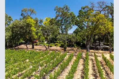 1225 Oakville Grade Road, Oakville, CA 94562 - Photo 73