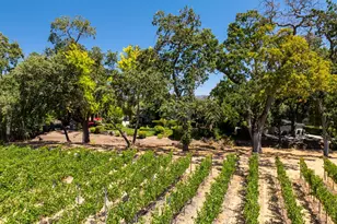 1225 Oakville Grade Rd, Oakville, CA 94562 - Photo 73