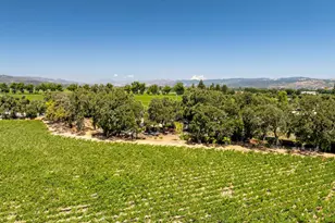 1225 Oakville Grade Rd, Oakville, CA 94562 - Photo 71