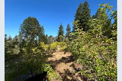 44035 Iversen Road, Gualala, CA 95445 - Photo 15