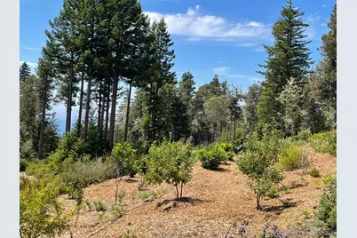 44035 Iversen Road, Gualala, CA 95445 - Photo 9