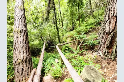 15551 Forest View Road, Manchester, CA 95459 - Photo 51