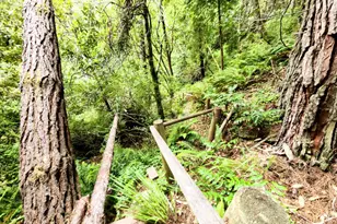 15551 Forest View Rd, Manchester, CA 95459 - Photo 51