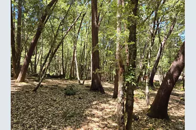 1694 Ponderosa Road, Willits, CA 95490 - Photo 3