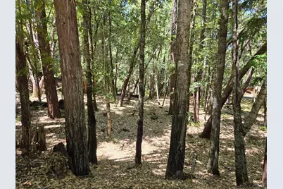 1694 Ponderosa Road, Willits, CA 95490 - Photo 1