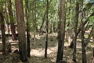 1694 Ponderosa Rd, Willits, CA 95490 - Photo 1