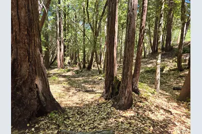 1694 Ponderosa Road, Willits, CA 95490 - Photo 5