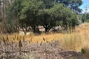 6675 Petersen Rd, Petaluma, CA 94952 - Photo 19