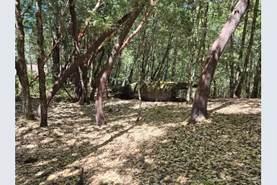 1686 Ponderosa Road, Willits, CA 95490 - Photo 1