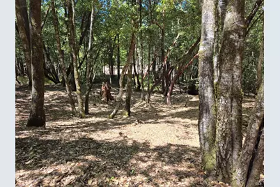 1686 Ponderosa Road, Willits, CA 95490 - Photo 5