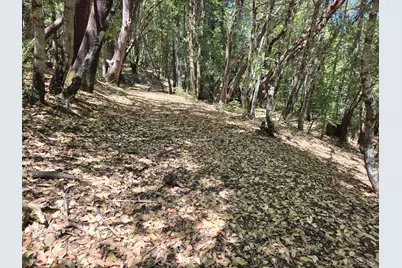 26710 Poppy Drive, Willits, CA 95490 - Photo 5