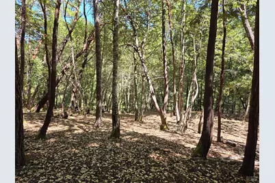 26710 Poppy Drive, Willits, CA 95490 - Photo 1