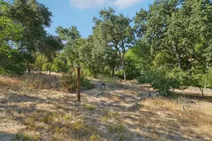 514 Sanitarium Rd, Saint Helena, CA 94574 - Photo 65