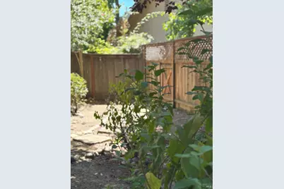 441 W 7th Street, Sonoma, CA 95476 - Photo 3
