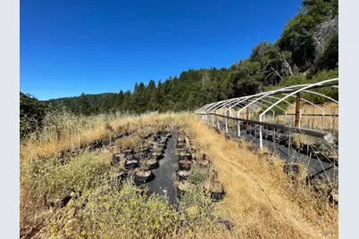 1506 Spyrock Road, Laytonville, CA 95585 - Photo 3