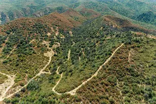 5950 State Hwy 128, Napa, CA 94558 - Photo 25