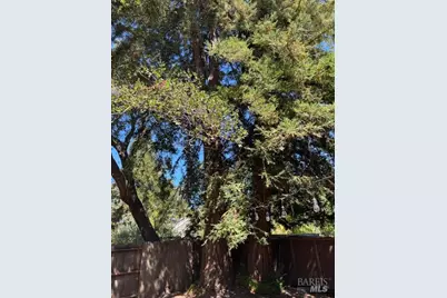 1411 4th Street, Calistoga, CA 94515 - Photo 23