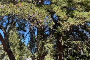 1411 4th St, Calistoga, CA 94515 - Photo 23