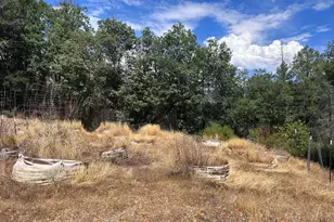 73046 Hill Rd, Covelo, CA 95428 - Photo 9