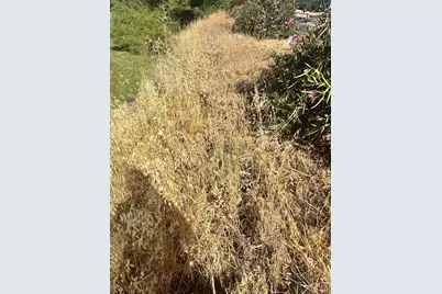 13489 E Highway 20 Highway, Clearlake Oaks, CA 95423 - Photo 3