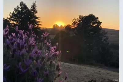 5959 Bodega Avenue, Petaluma, CA 94952 - Photo 3