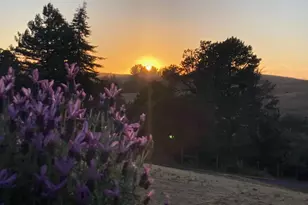 5959 Bodega Ave, Petaluma, CA 94952 - Photo 3