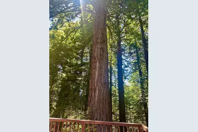 33182 Frog Pond Road, Littleriver, CA 95456 - Photo 11