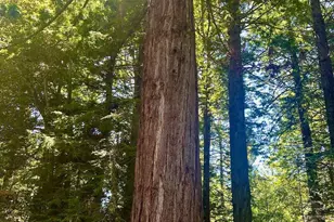 33182 Frog Pond Rd, Littleriver, CA 95456 - Photo 11