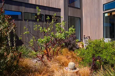 279 Grey Whale, The Sea Ranch, CA 95497 - Photo 51