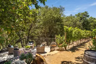 512 Meadowood Ln, Saint Helena, CA 94574 - Photo 59