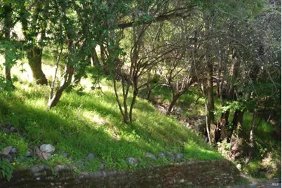 59 Fair Drive, San Rafael, CA 94915 - Photo 9