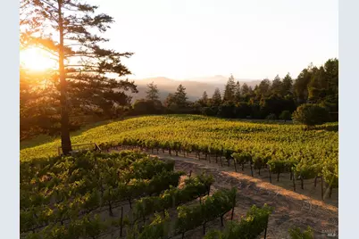 316 Wall Road, Napa, CA 94558 - Photo 1