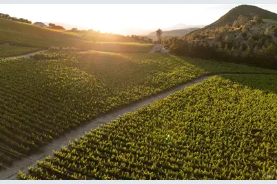 3231 Soda Canyon Road, Napa, CA 94558 - Photo 5